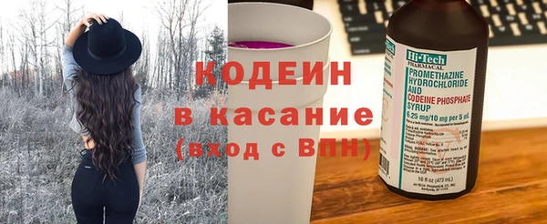 шишки Верхний Тагил